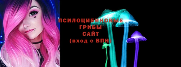 прущие крисы Балахна